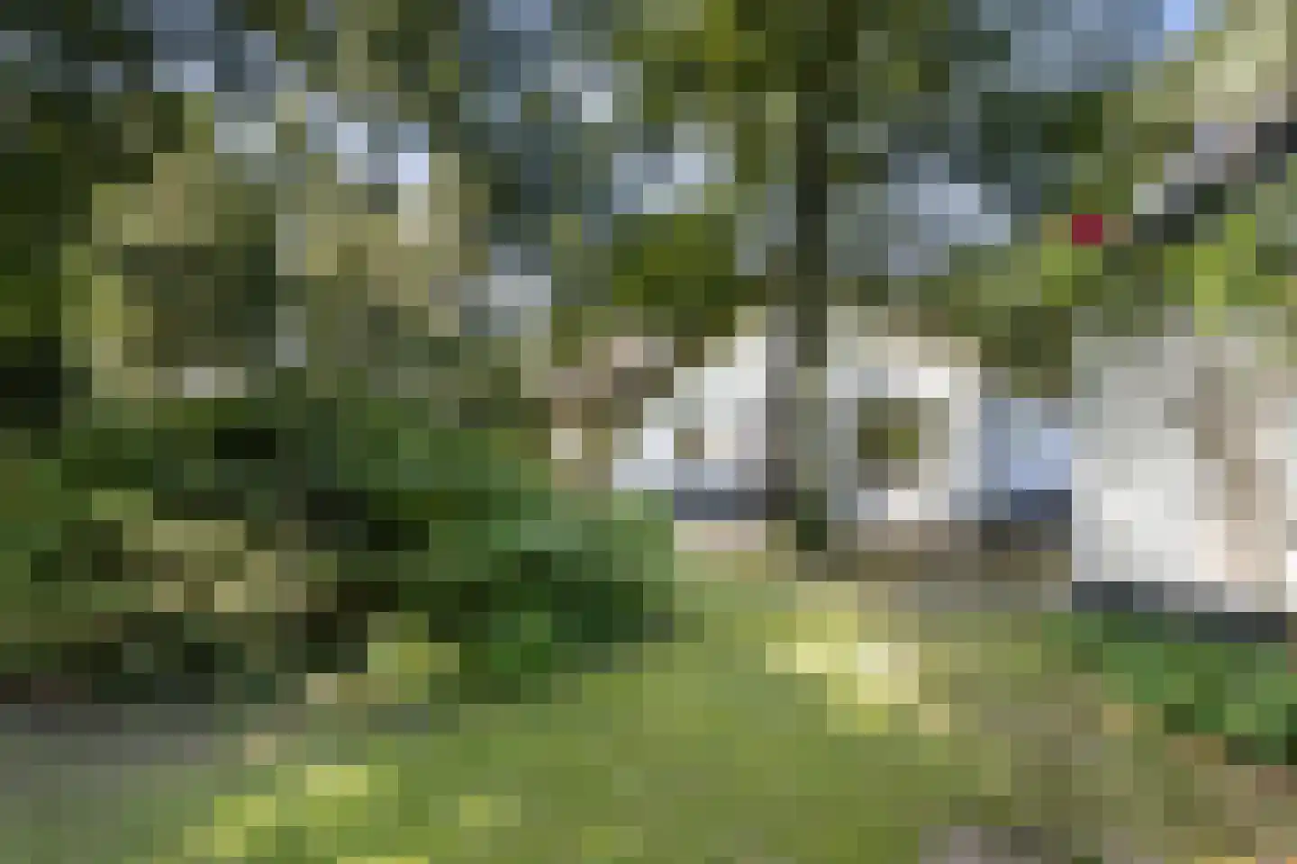 Sophialaan 46 Ermelo thumbnail 52