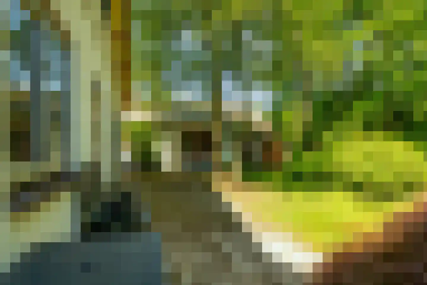 Sophialaan 46 Ermelo thumbnail 53
