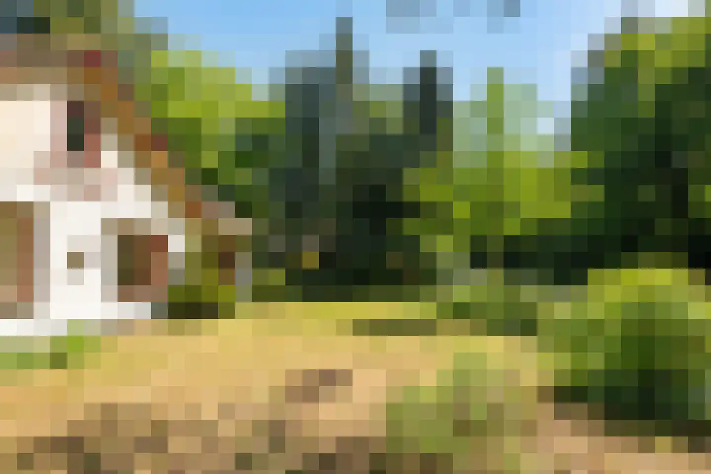 Sophialaan 46 Ermelo thumbnail 54