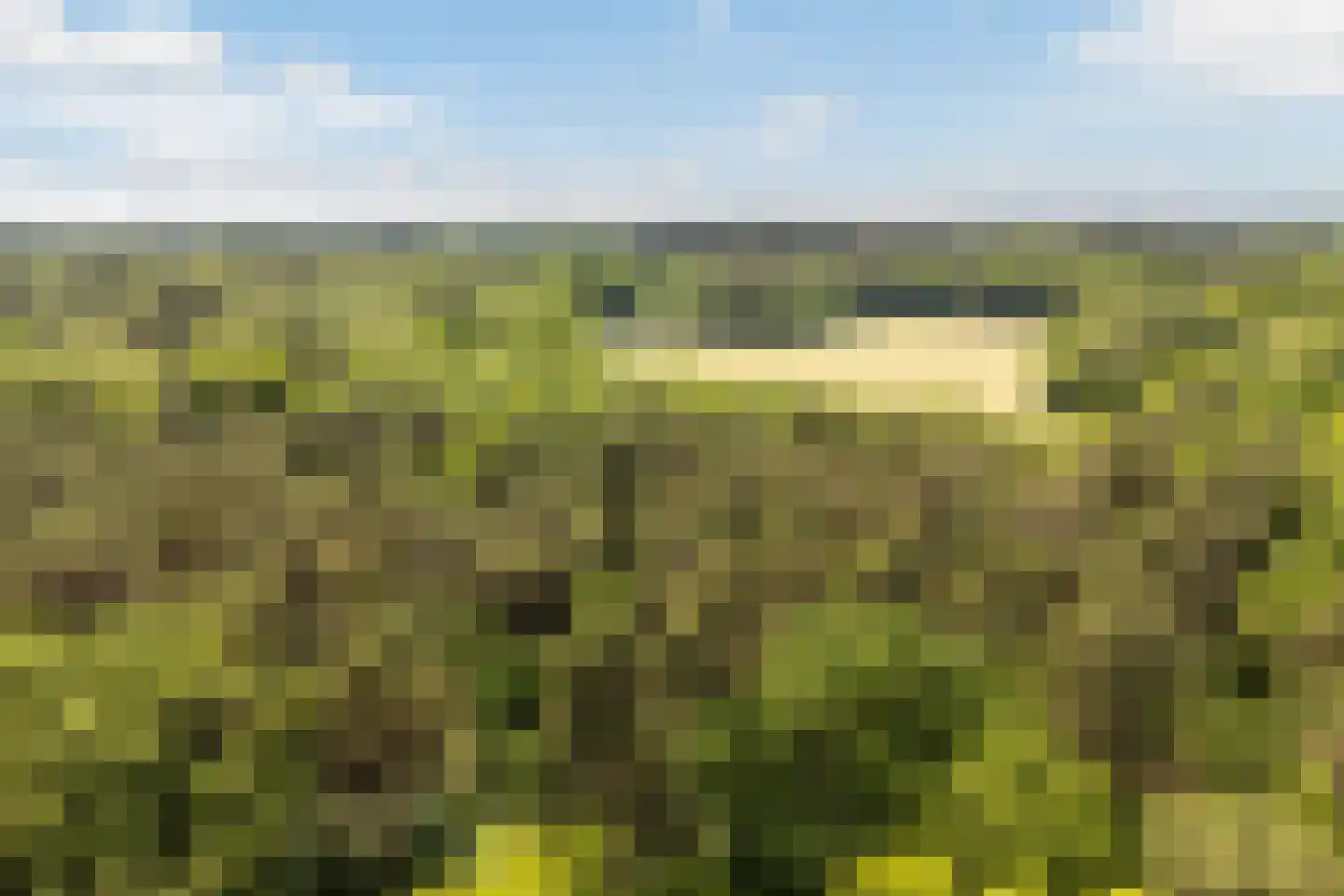 Sophialaan 46 Ermelo thumbnail 57