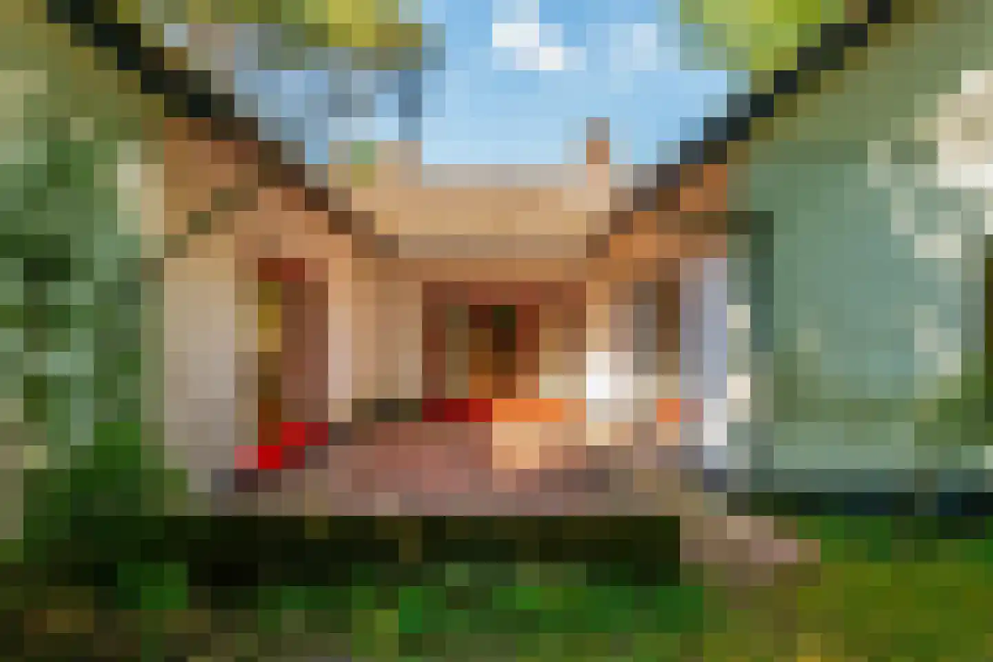 Sophialaan 46 Ermelo thumbnail 59