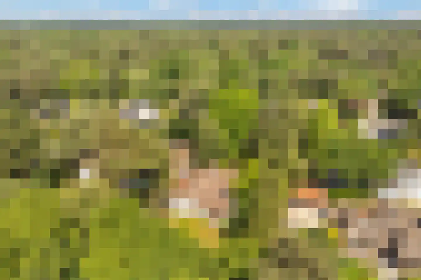 Sophialaan 46 Ermelo thumbnail 6