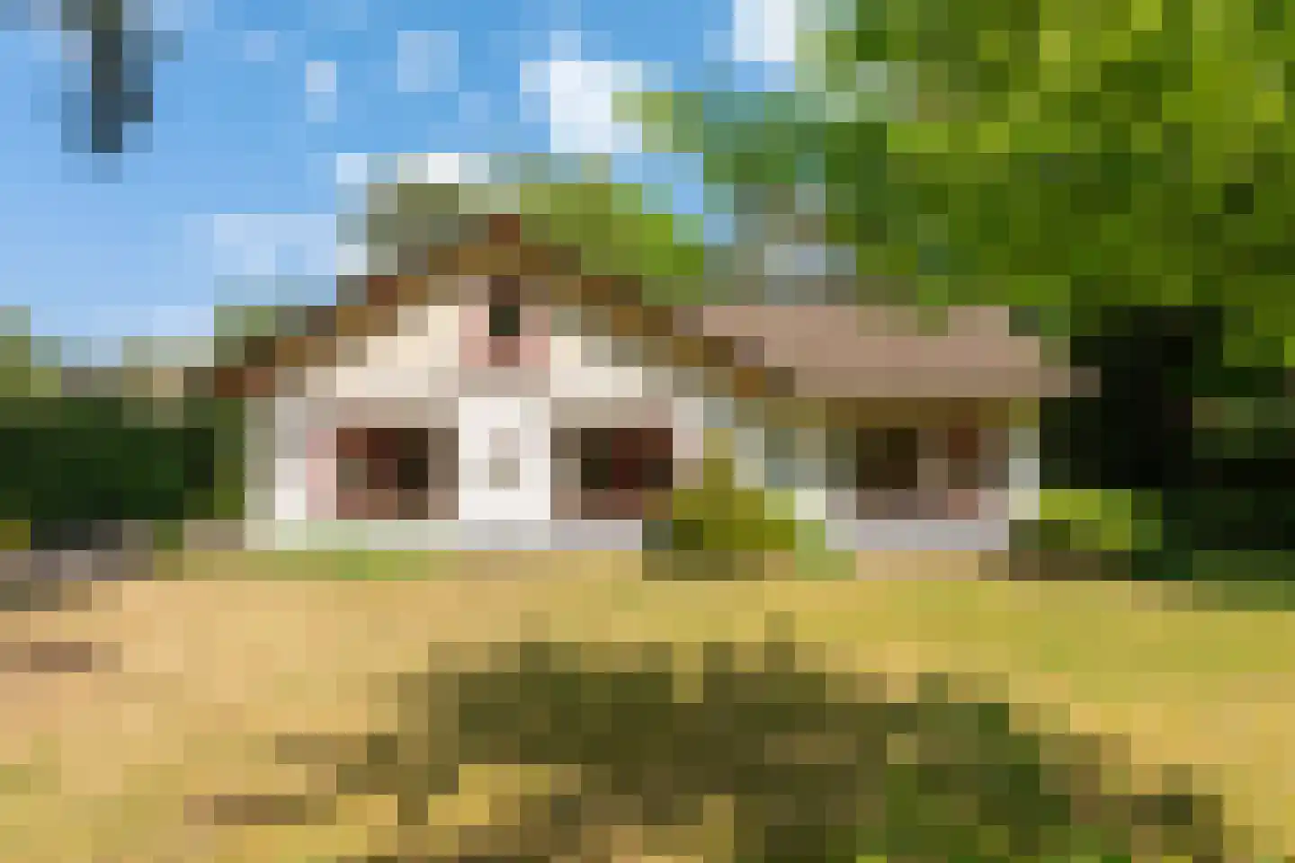 Sophialaan 46 Ermelo thumbnail 6