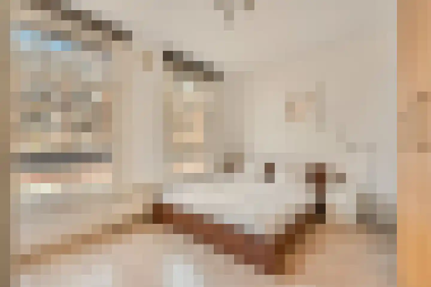 Sophialaan 55 A Amsterdam thumbnail 28