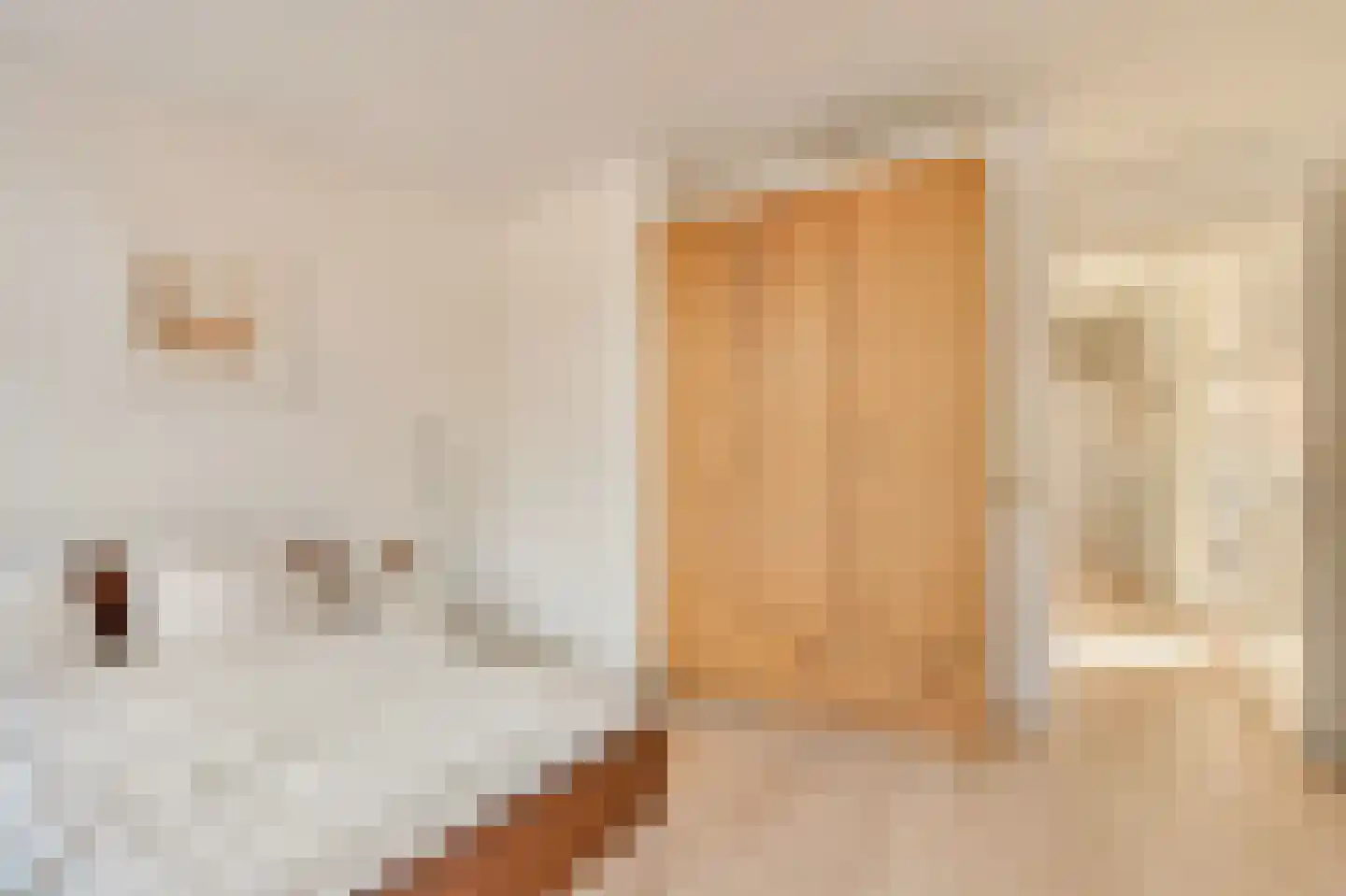 Sophialaan 55 A Amsterdam thumbnail 30