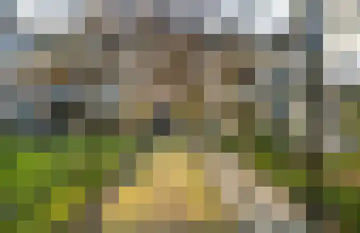 Sophialaan 6 E Den Haag thumbnail 11