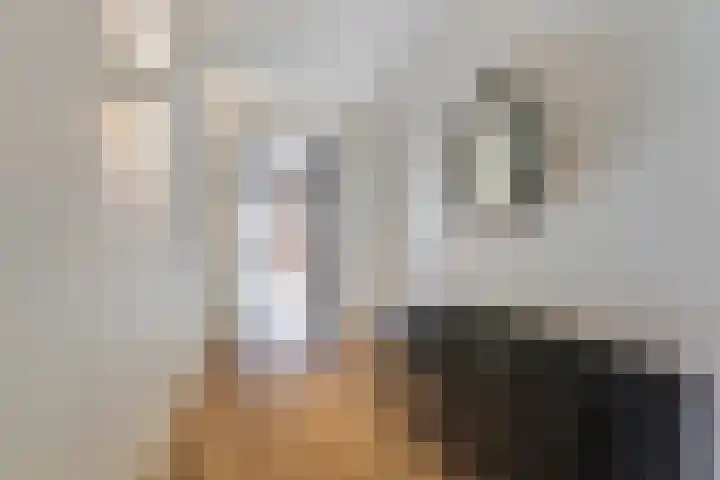 Sophialaan 6 E Den Haag thumbnail 15