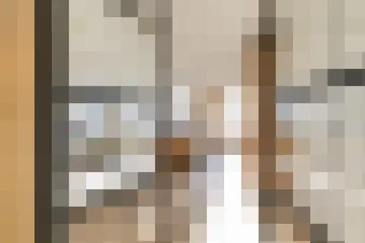 Sophialaan 6 E Den Haag thumbnail 16