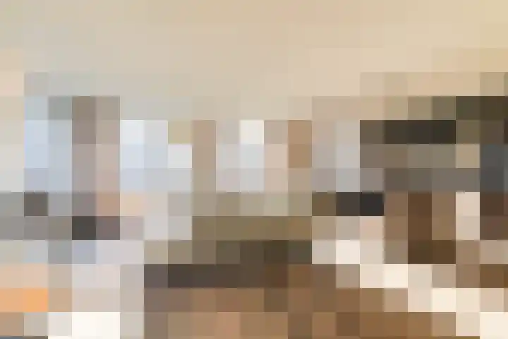 Sophialaan 6 E Den Haag thumbnail 17