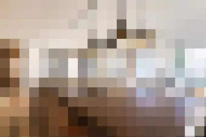 Sophialaan 6 E Den Haag thumbnail 22