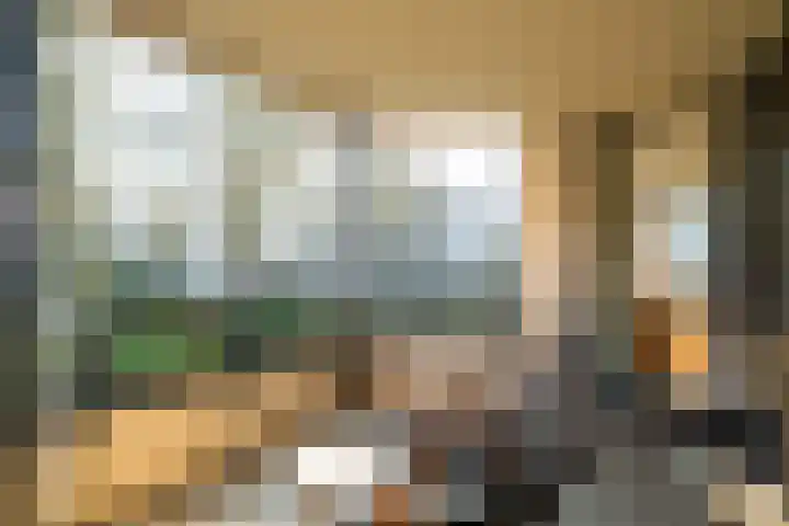 Sophialaan 6 E Den Haag thumbnail 27