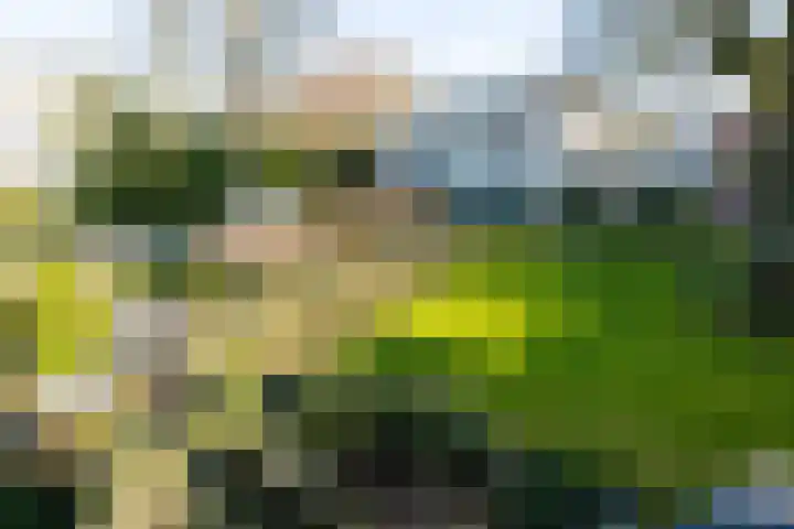 Sophialaan 6 E Den Haag thumbnail 30