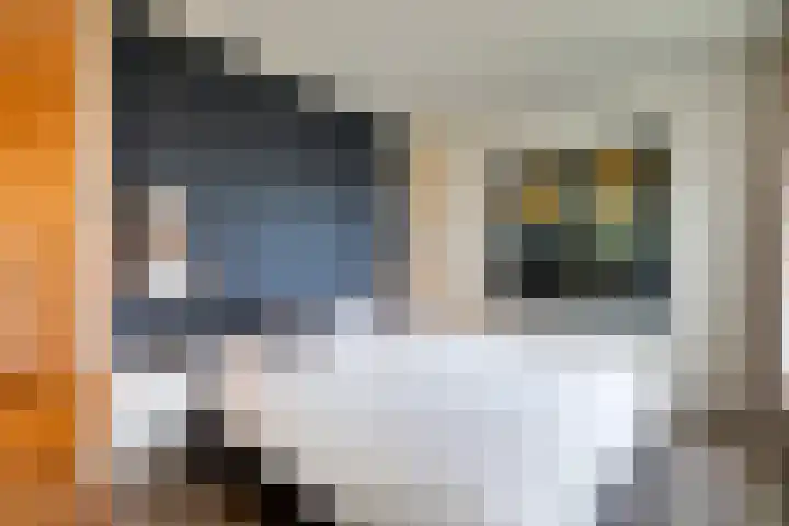 Sophialaan 6 E Den Haag thumbnail 4