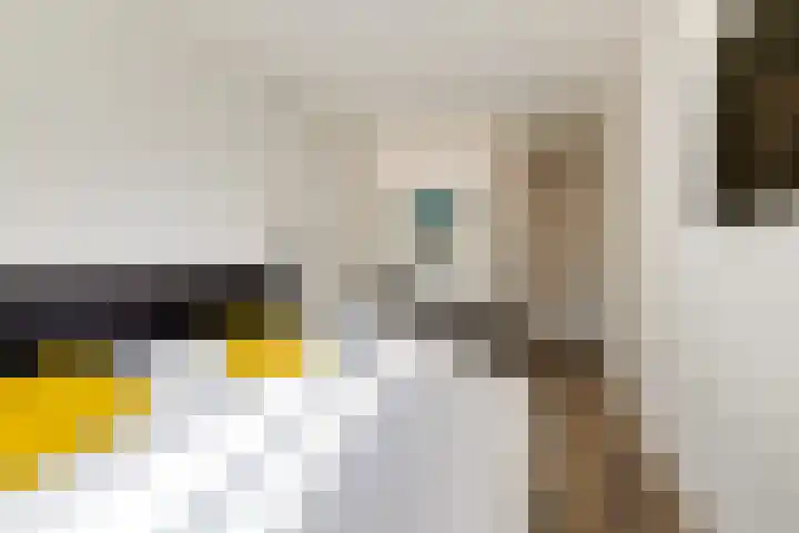 Sophialaan 6 E Den Haag thumbnail 40
