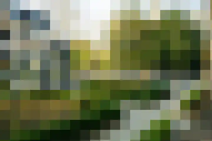 Sophialaan 6 E Den Haag thumbnail 46