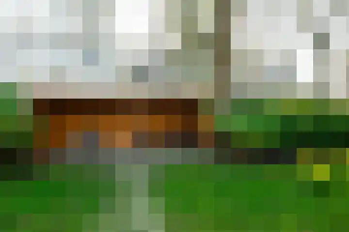 Sophialaan 6 E Den Haag thumbnail 49