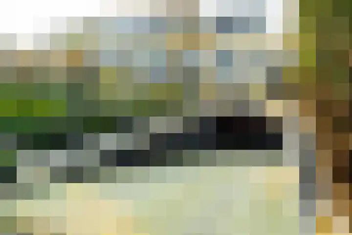 Sophialaan 6 E Den Haag thumbnail 7