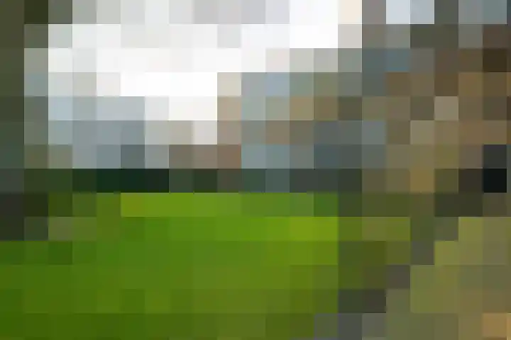 Sophialaan 6 E Den Haag thumbnail 8