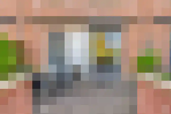 Sophialaan 7 Hendrik-Ido-Ambacht thumbnail 10