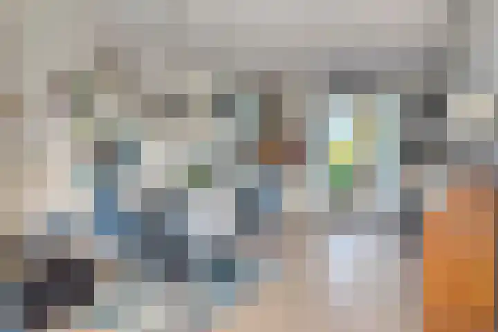 Sophialaan 7 Hendrik-Ido-Ambacht thumbnail 15