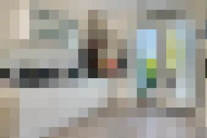 Sophialaan 7 Hendrik-Ido-Ambacht thumbnail 16