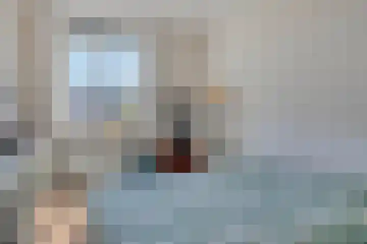 Sophialaan 7 Hendrik-Ido-Ambacht thumbnail 18