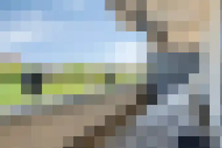 Sophialaan 7 Hendrik-Ido-Ambacht thumbnail 30