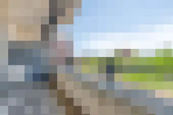 Sophialaan 7 Hendrik-Ido-Ambacht thumbnail 31