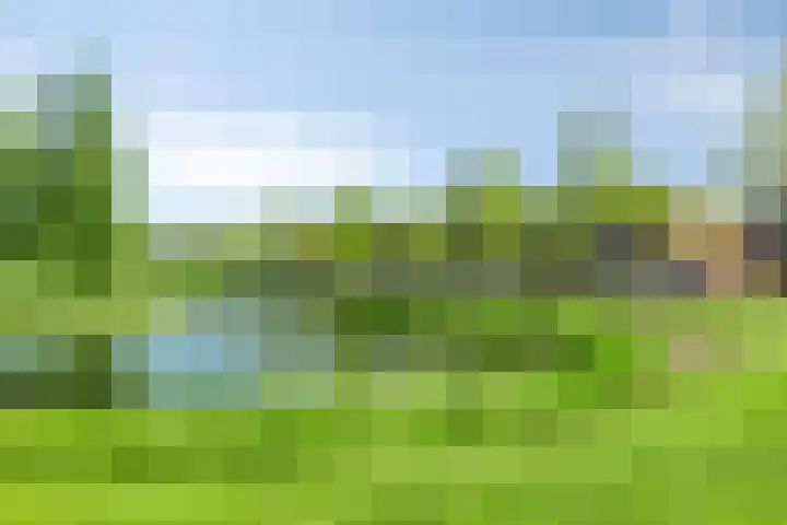 Sophialaan 7 Hendrik-Ido-Ambacht thumbnail 34