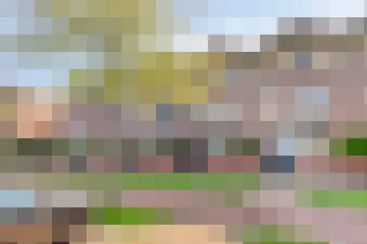 Sophialaan 7 Hendrik-Ido-Ambacht thumbnail 36