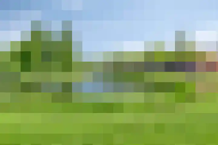Sophialaan 7 Hendrik-Ido-Ambacht thumbnail 37