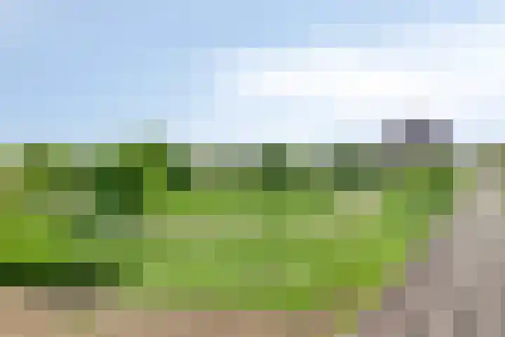 Sophialaan 7 Hendrik-Ido-Ambacht thumbnail 38