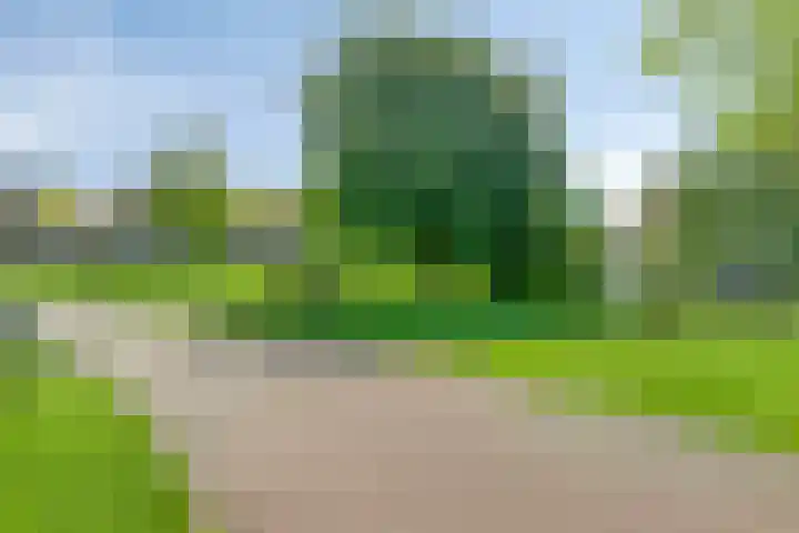 Sophialaan 7 Hendrik-Ido-Ambacht thumbnail 40