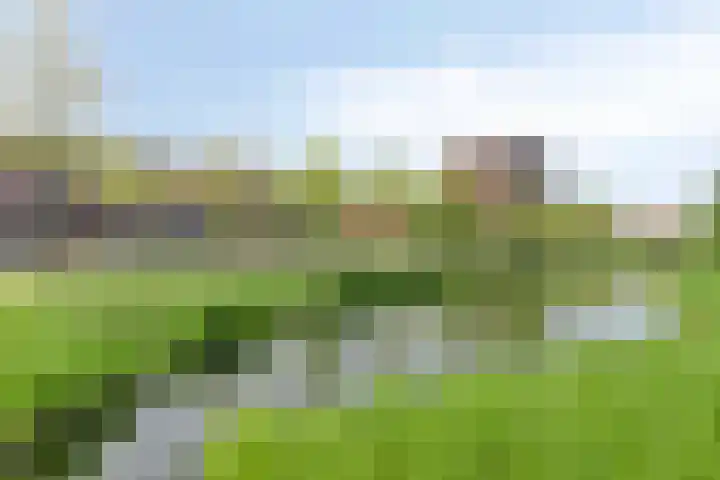 Sophialaan 7 Hendrik-Ido-Ambacht thumbnail 41
