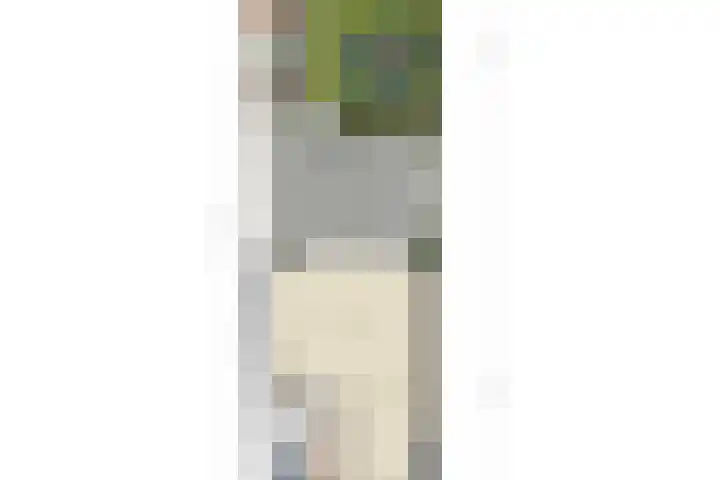 Sophialaan 7 Hendrik-Ido-Ambacht thumbnail 43