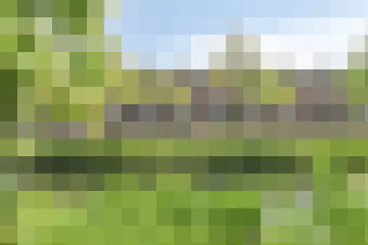 Sophialaan 7 Hendrik-Ido-Ambacht thumbnail 5