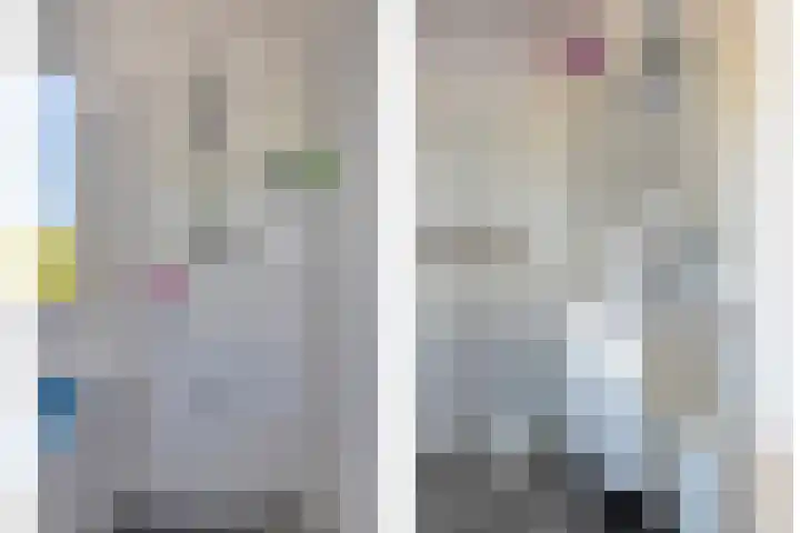 Sophialaan 7 Hendrik-Ido-Ambacht thumbnail 8