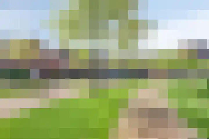 Sophialaan 7 Hendrik-Ido-Ambacht thumbnail 9