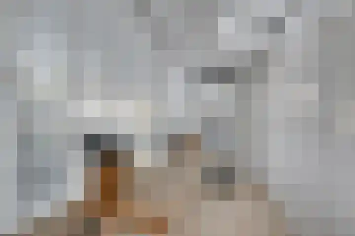 Sophiaplaats 7 Zoetermeer thumbnail 18