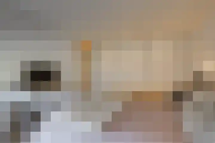 Sophiaplaats 7 Zoetermeer thumbnail 28