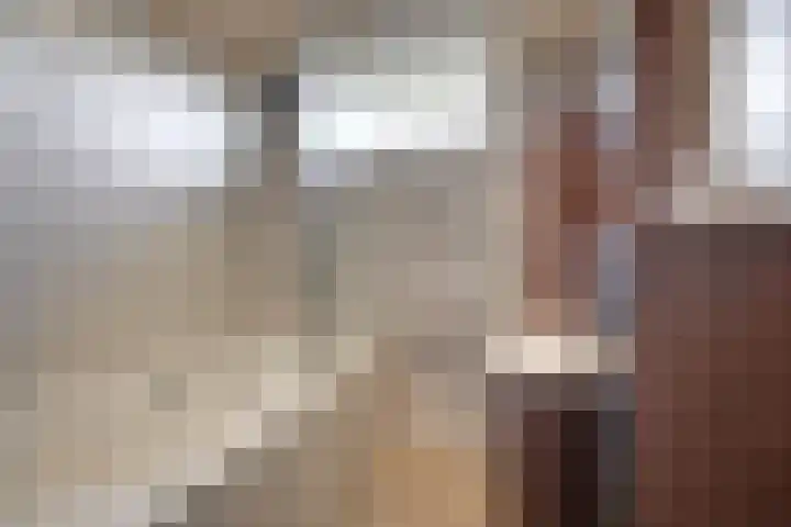 Sophiaplaats 7 Zoetermeer thumbnail 29