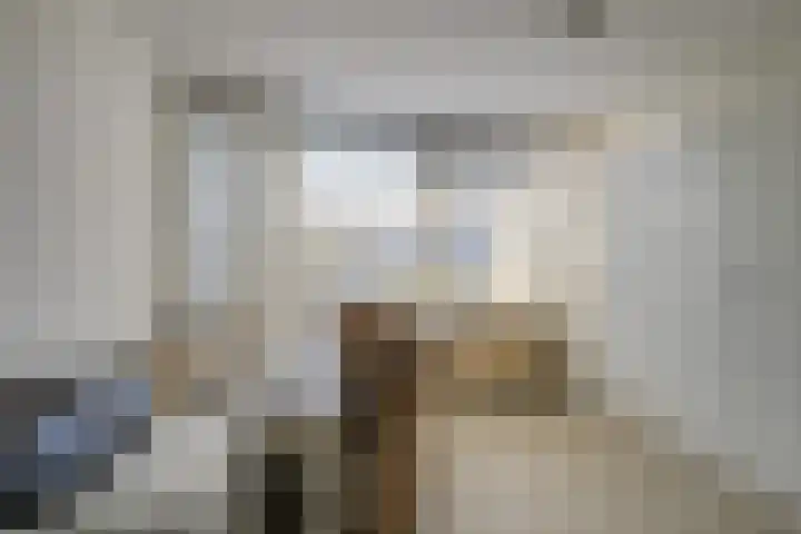 Sophiaplaats 7 Zoetermeer thumbnail 33