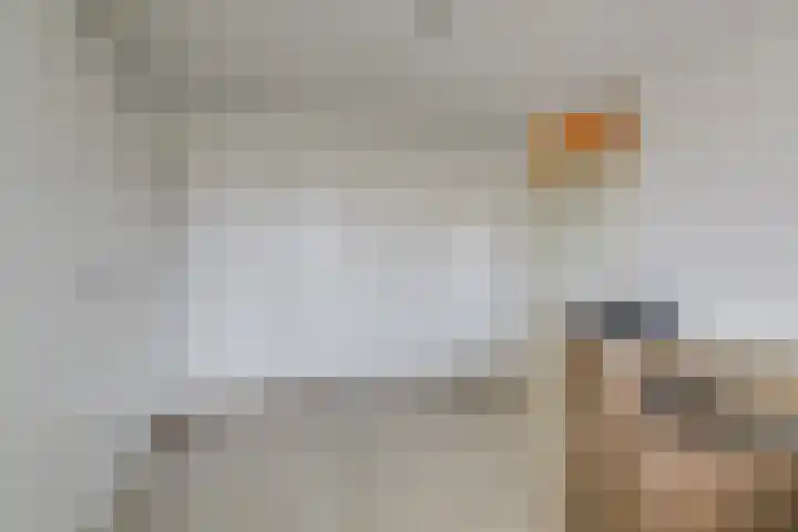 Sophiaplaats 7 Zoetermeer thumbnail 35