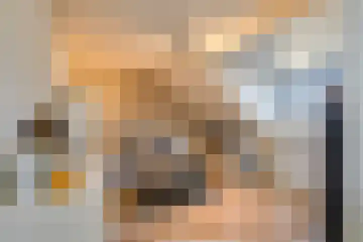 Sophiaplaats 7 Zoetermeer thumbnail 38