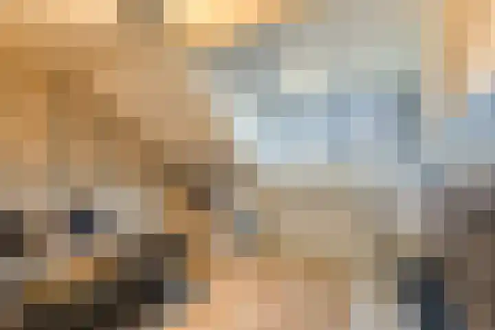 Sophiaplaats 7 Zoetermeer thumbnail 39