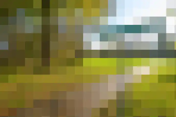 Sophiaplaats 7 Zoetermeer thumbnail 43