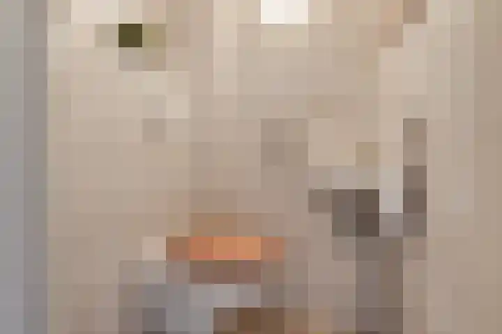 Sophiaplaats 7 Zoetermeer thumbnail 7