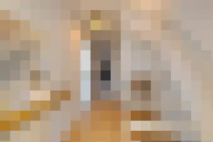 Sophiaplaats 7 Zoetermeer thumbnail 8
