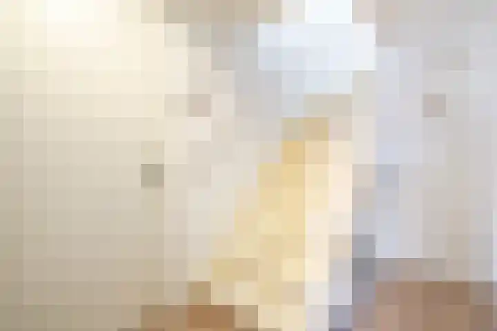 Sophiaplein 10 A Haarlem thumbnail 21