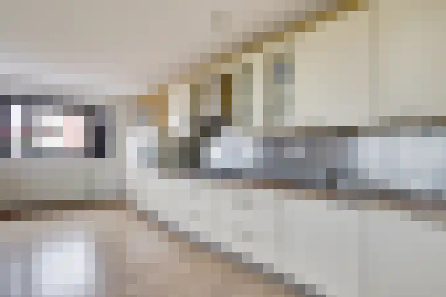 Sophiapromenade 120 Hendrik-Ido-Ambacht thumbnail 14